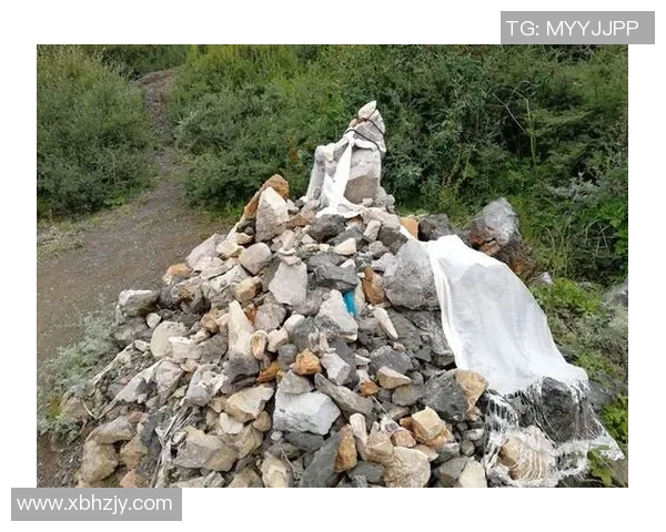 萨林杰的文学世界探秘：从孤独到自我救赎的心灵旅程